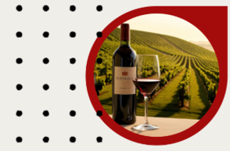 Bandeau vin et vigne